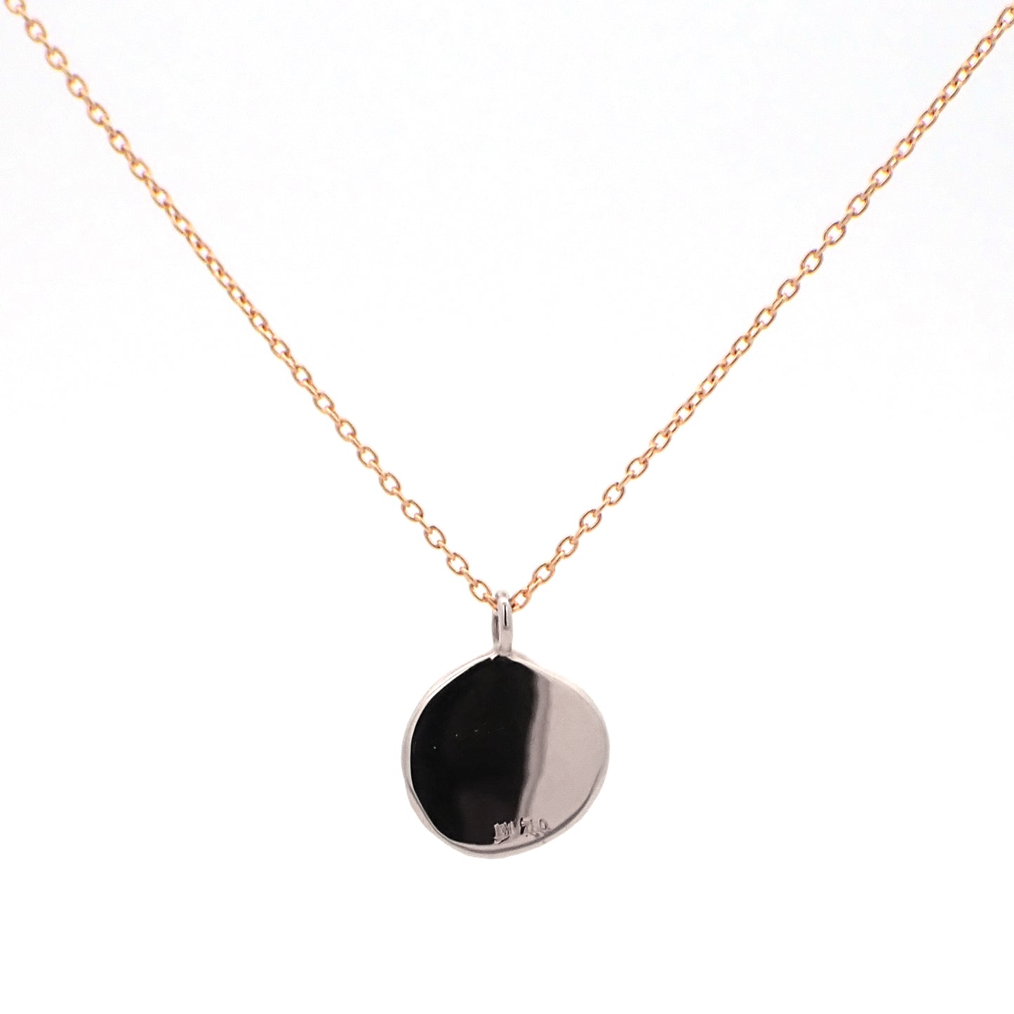 Sign of Zodiac Pendant-8NA15