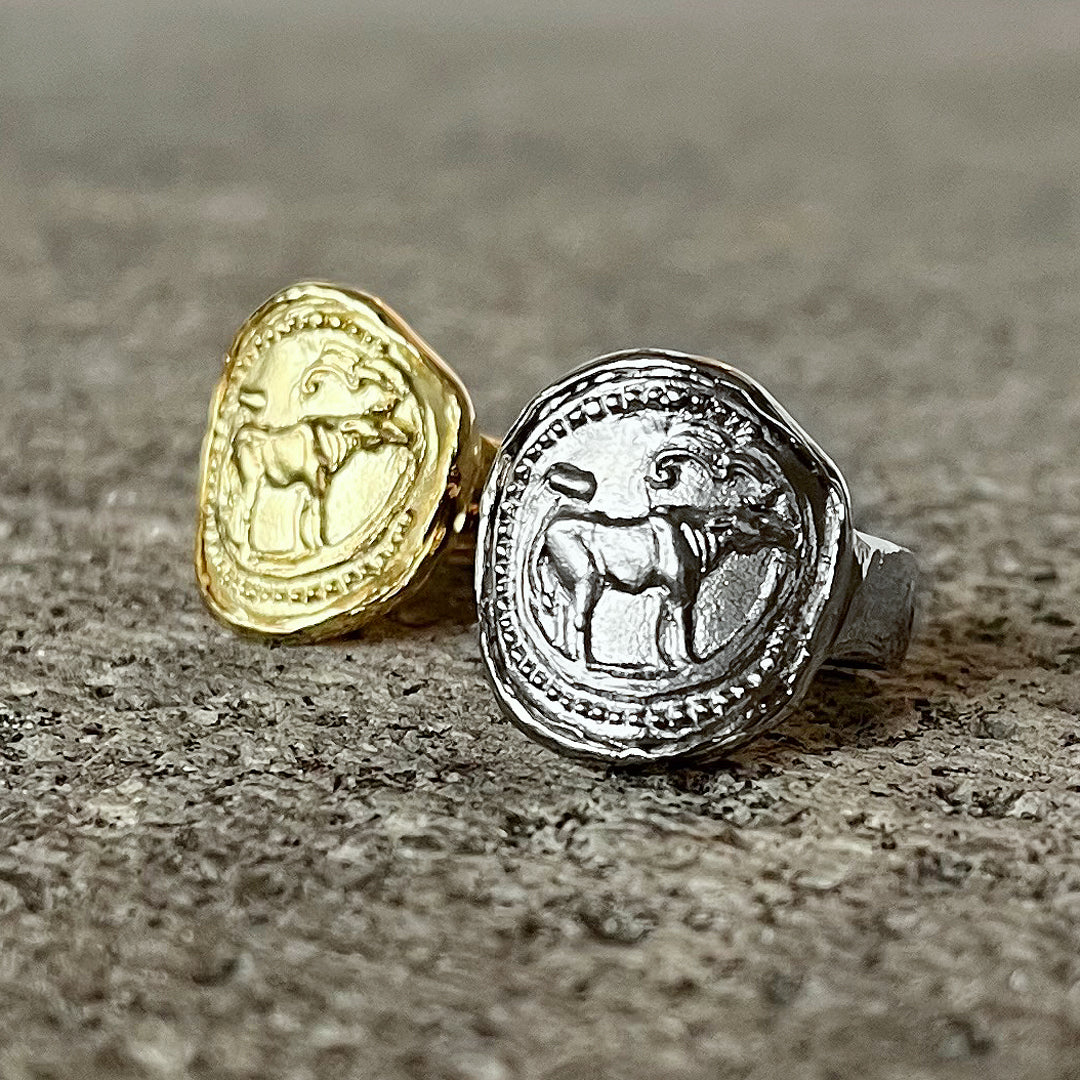 Sign of Zodiac - 8RB01K