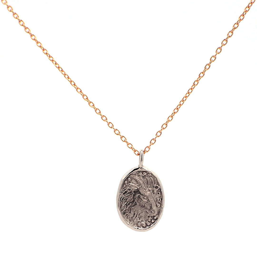 Sign of Zodiac Pendant-8NJ15