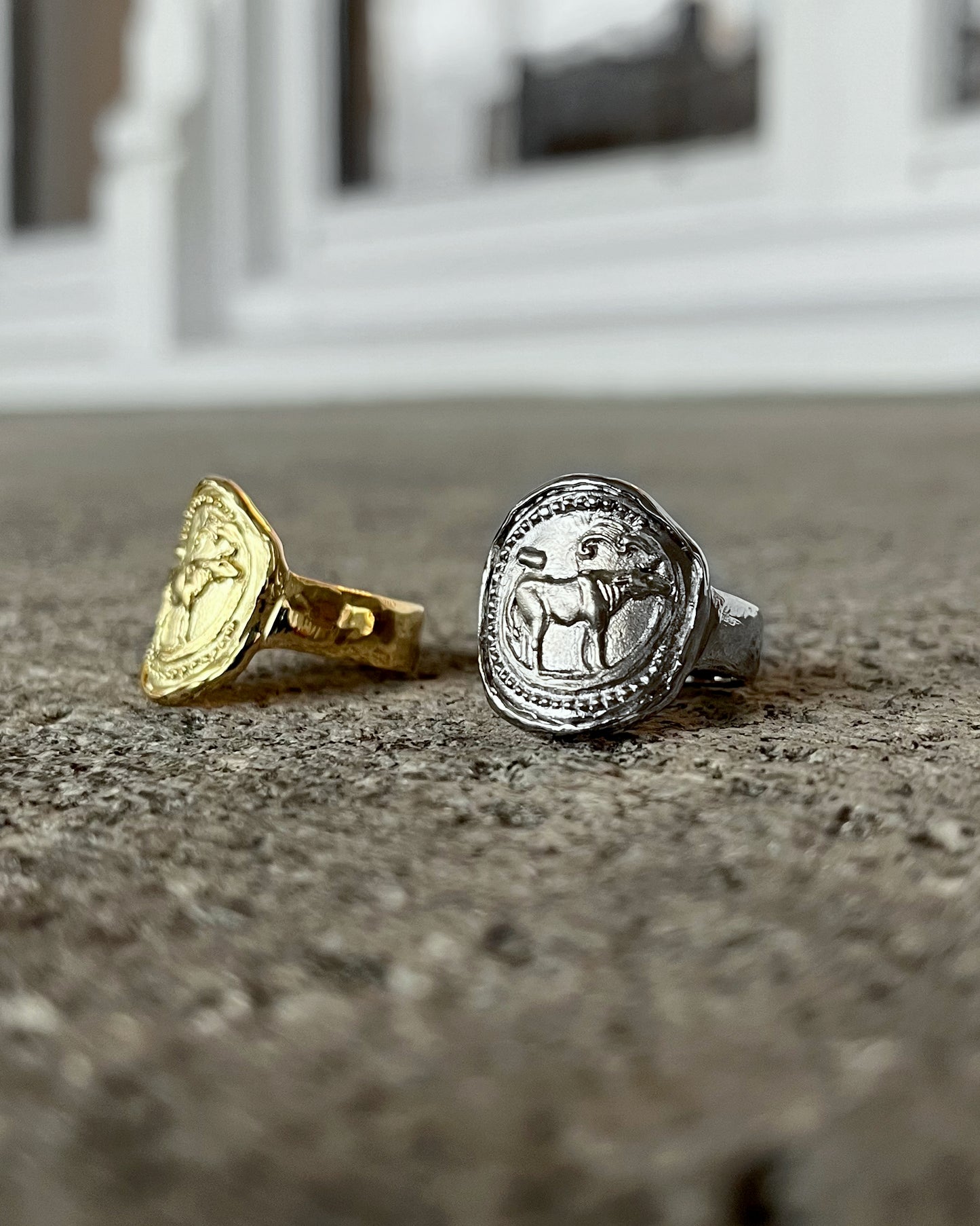 Sign of Zodiac - 8RB01W